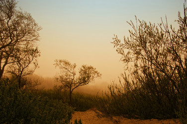 Similar image 139951