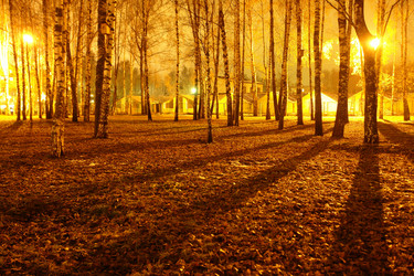 Similar image 139959