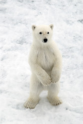 Similar image 139965