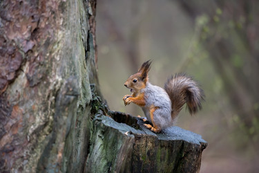 Similar image 139972