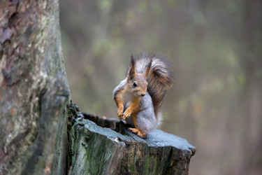 Similar image 139975