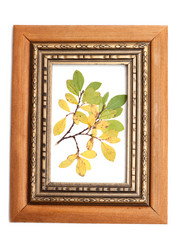 Similar image 140034