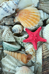 Similar image 140048