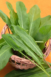 Similar image 140050