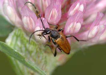 Similar image 140069