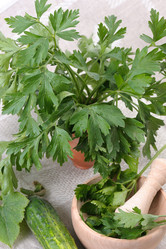 Similar image 140071