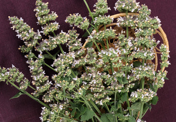 Similar image 140074