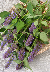 Similar image 140080