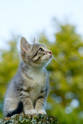 Similar image 140081