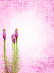 Similar image 140158