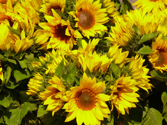 Similar image 140162