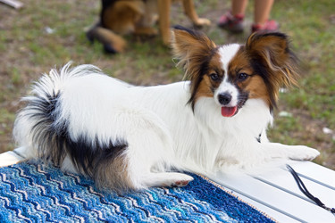 Similar image 140211