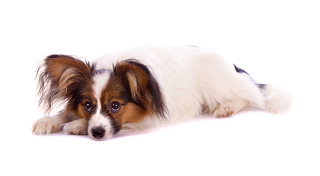 Similar image 140219