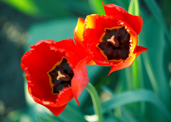 Similar image 140228