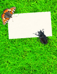 Similar image 140251