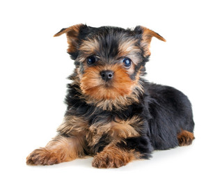 Similar image 140253