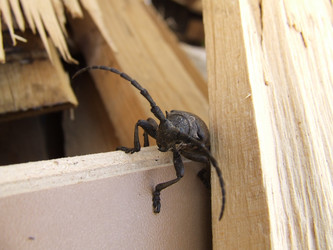 Similar image 140283