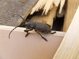 Similar image 140298