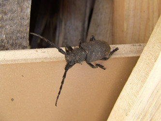 Similar image 140307