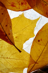 Similar image 140336