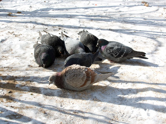 Similar image 140343