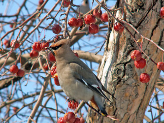 Similar image 140350