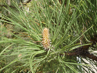 Similar image 140351