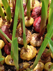 Similar image 140361