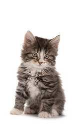 Similar image 140384