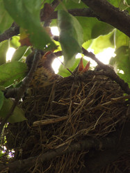 Similar image 140399