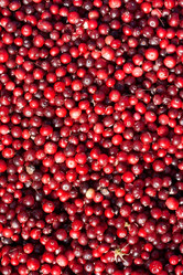 Similar image 140405