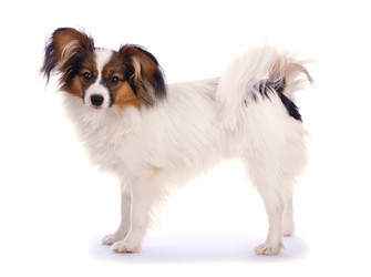 Similar image 140420