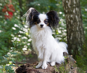 Similar image 140430