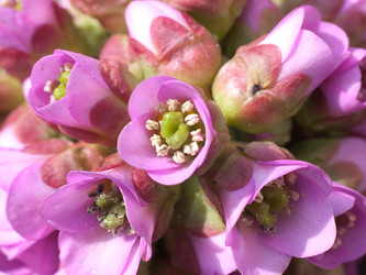 Similar image 140433