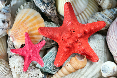 Similar image 140443