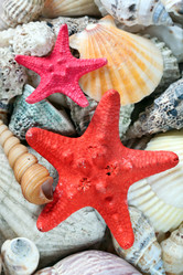 Similar image 140444