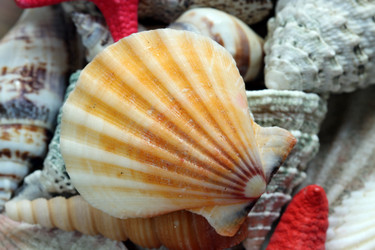 Similar image 140445