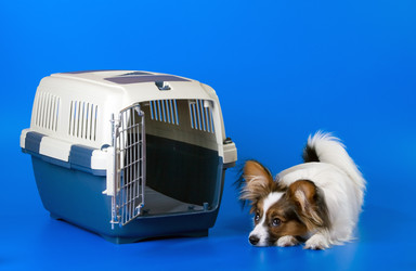 Similar image 140449