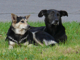 Similar image 140450