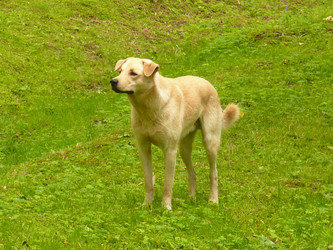 Similar image 140451