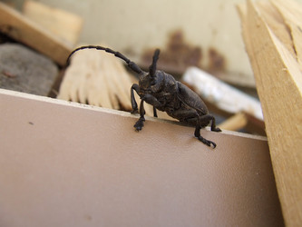 Similar image 140453