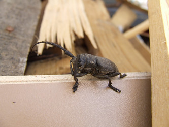 Similar image 140454