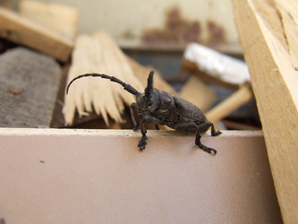 Similar image 140455