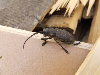 Similar image 140456