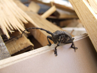 Similar image 140457