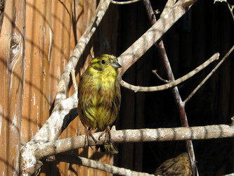 Similar image 140464