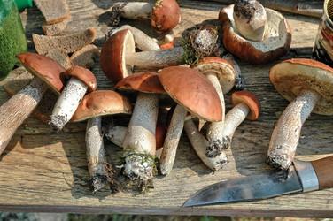 Similar image 140524