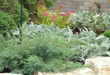 Similar image 140547