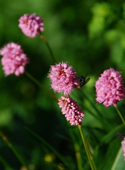 Similar image 140568