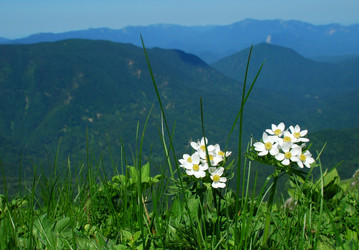 Similar image 140569